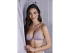 Art. 213 Trenda