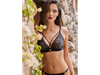 Art. 8226 Kaury