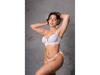 Art. 1090 Trenda