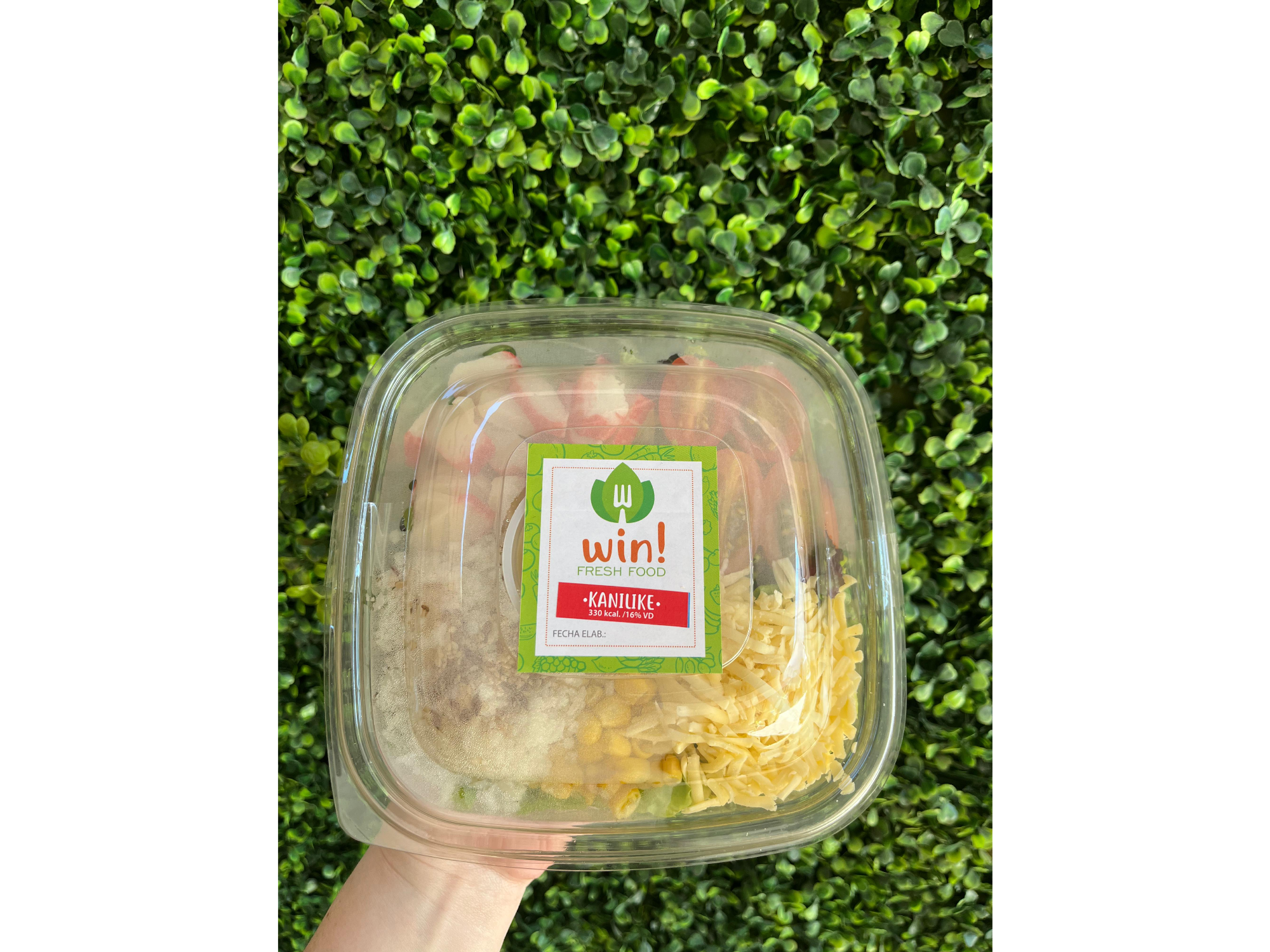 Salad “KANIKAMA”