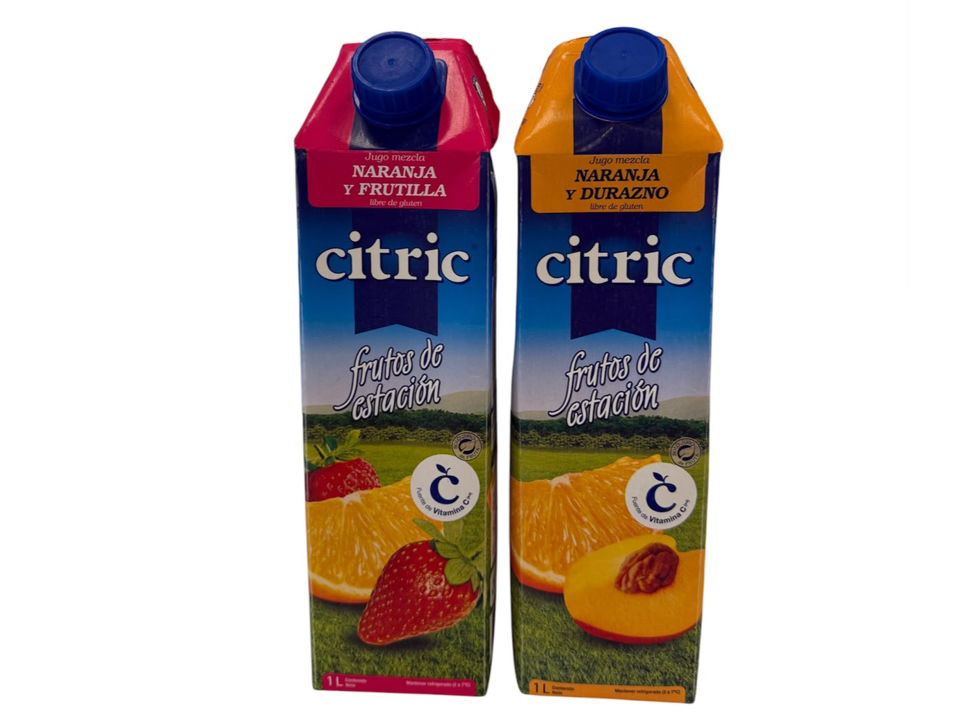 CITRIC 1 LITRO