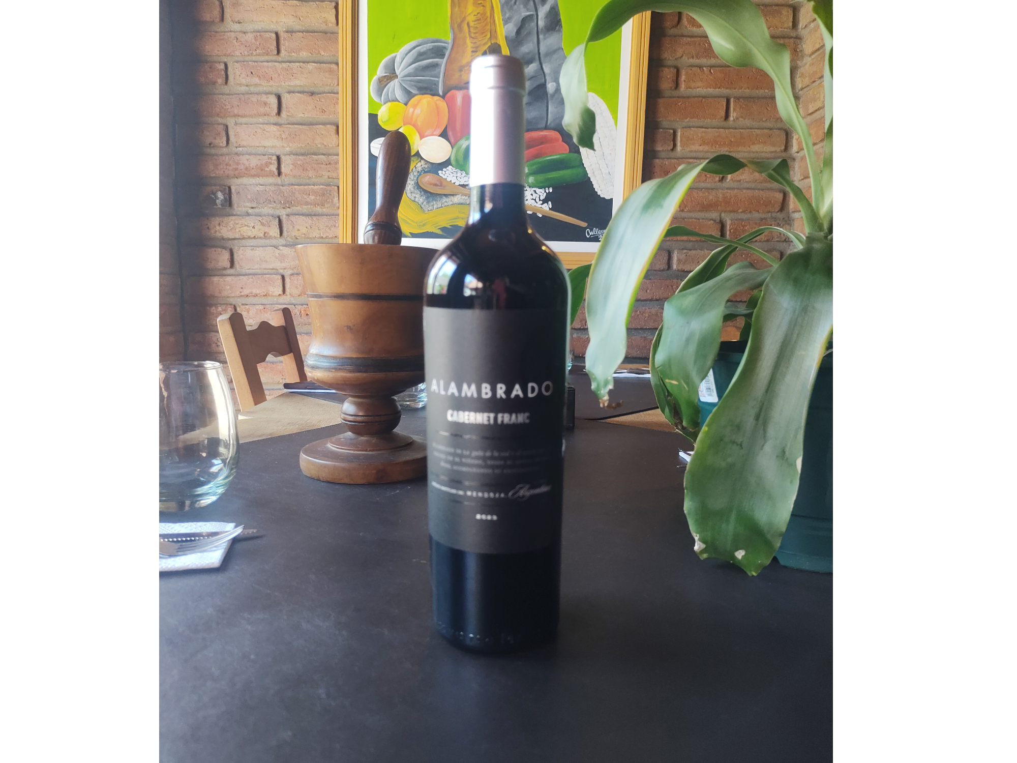 ALAMBRADO CABERNET