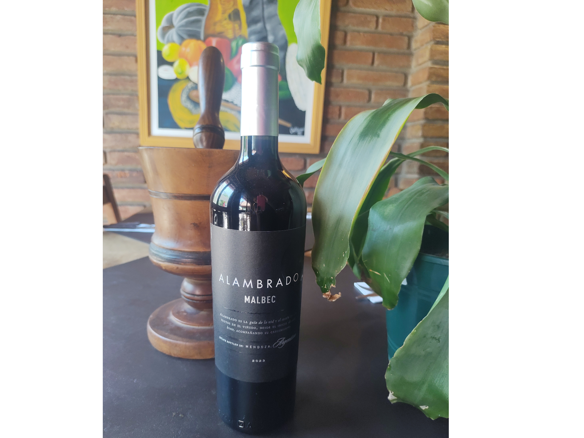 ALAMBRADO MALBEC