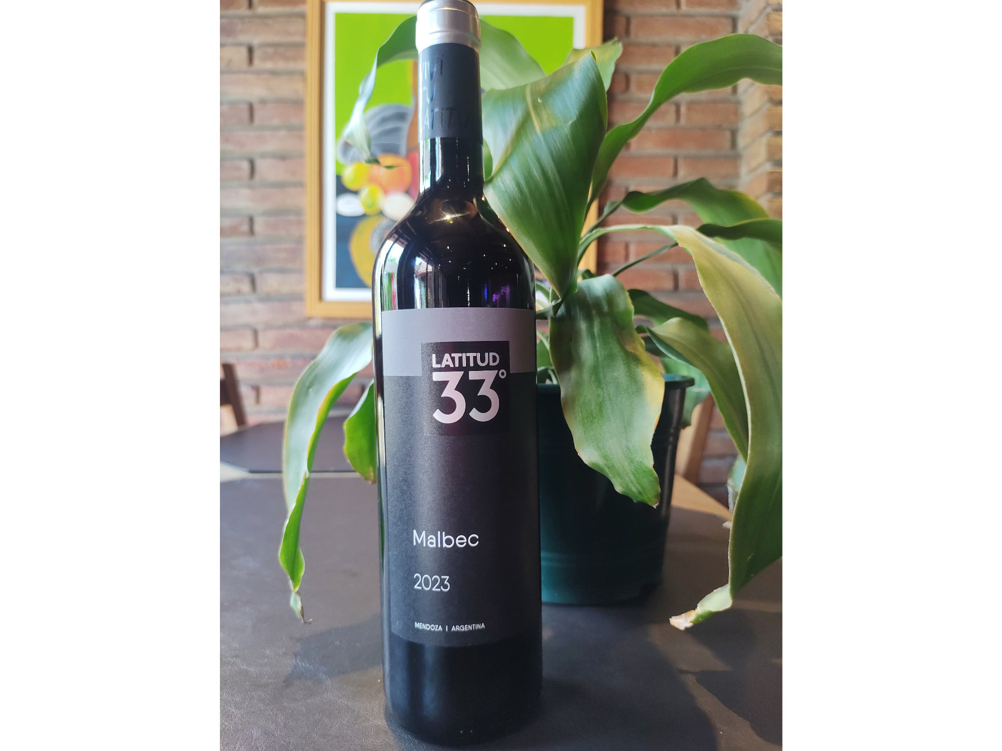 LATITUD 33 CABERNET SAUVIGNON/ MALBEC