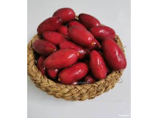 Dátil Hayany (Egipto)