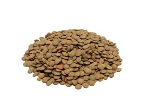 Lentejon nacional 7 mm