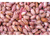 Porotos cranberry