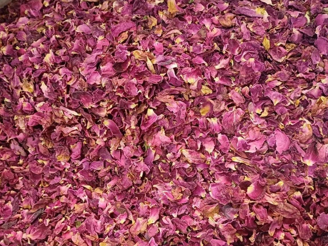 Pétalos de rosa premiun 🌹