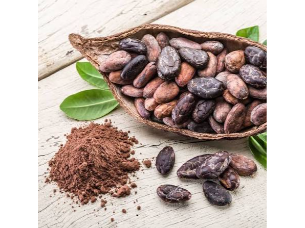 Semilla de cacao
