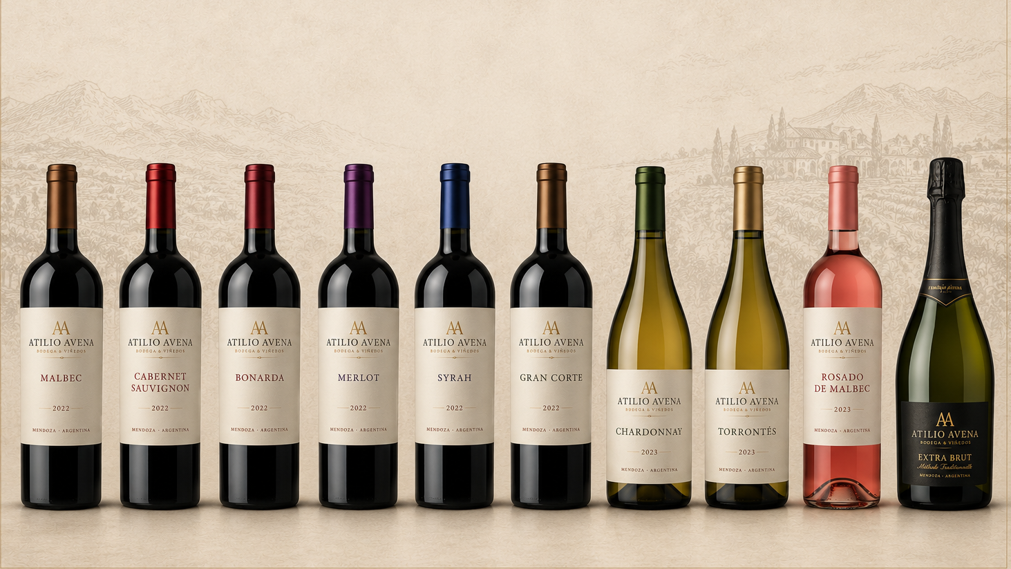 Vinos tintos, blancos y rosados
