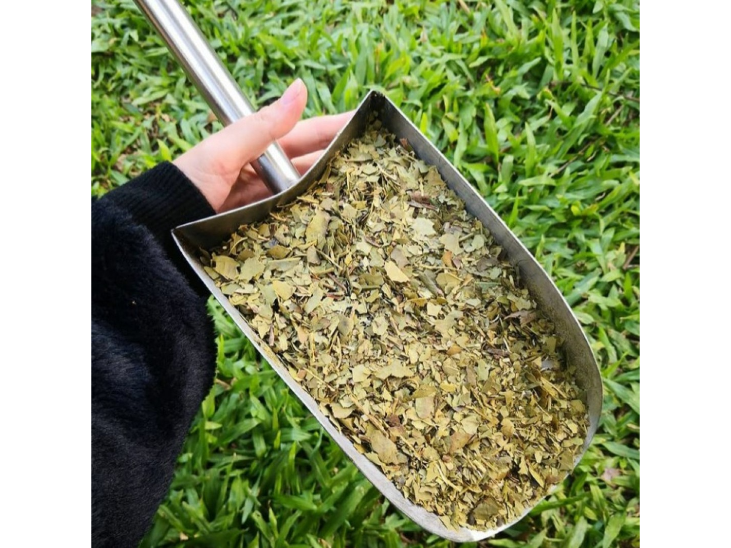 YERBA AJEDREZ ANTIACIDA SUELTA (250GR)