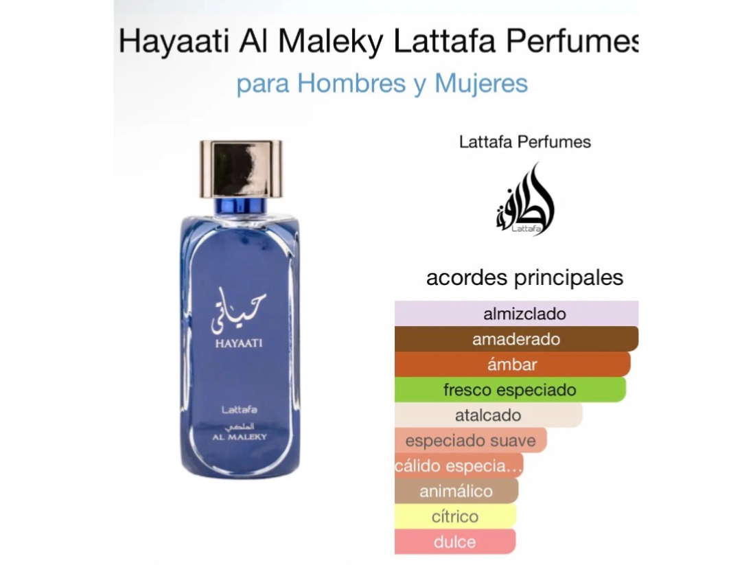 Ayatti maleki
