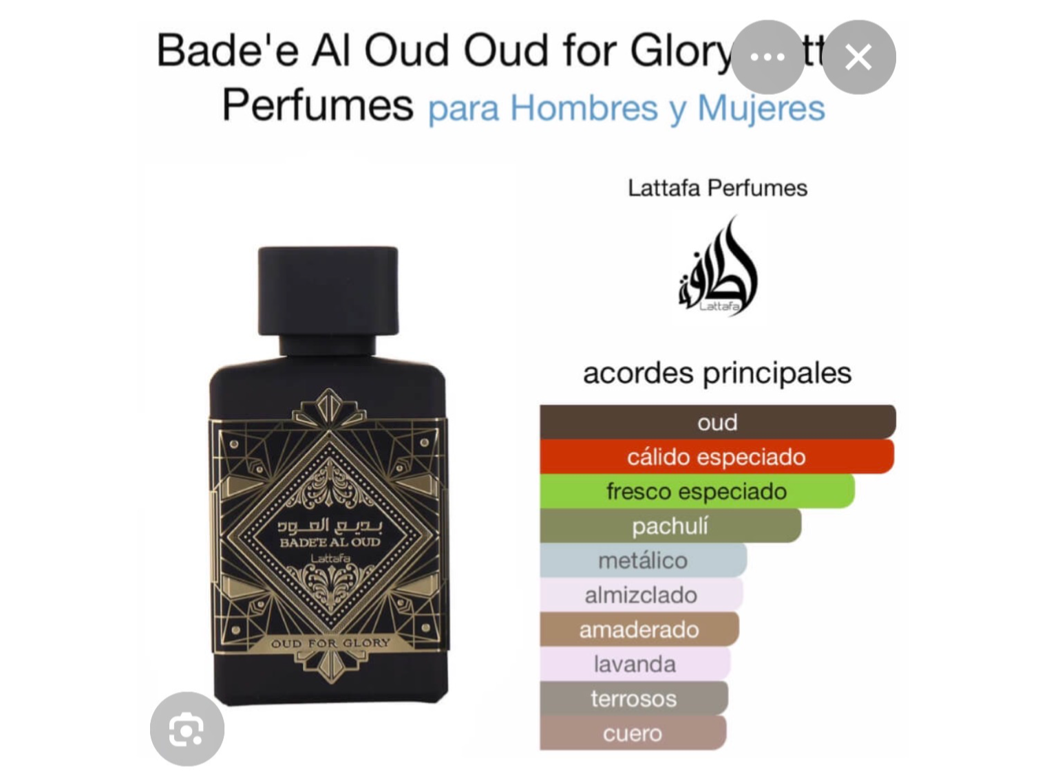 Bade al oud for glory