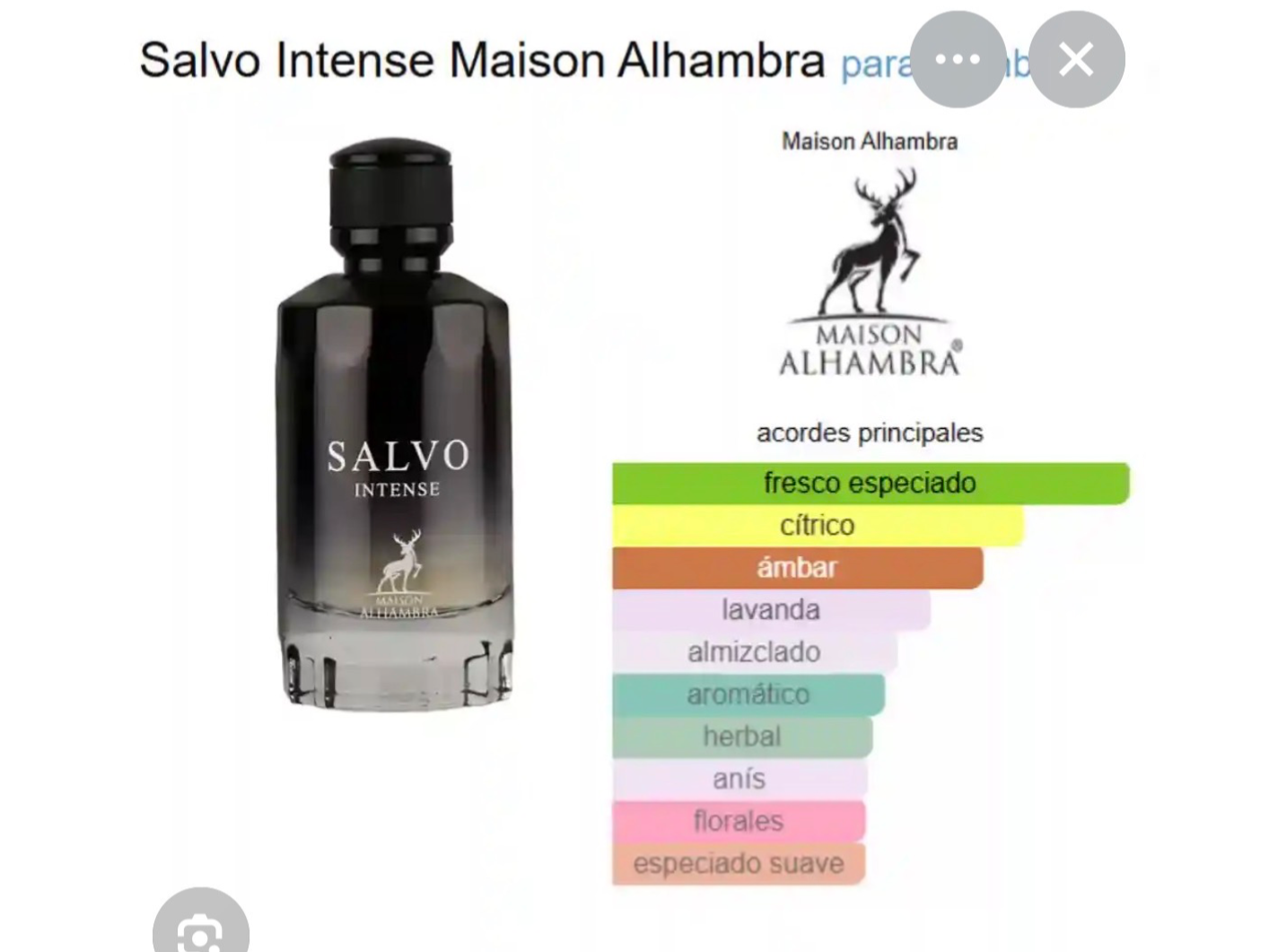 Salvo intense
