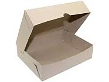 LOMO GRANDE CARTON  50 (22X15X6)