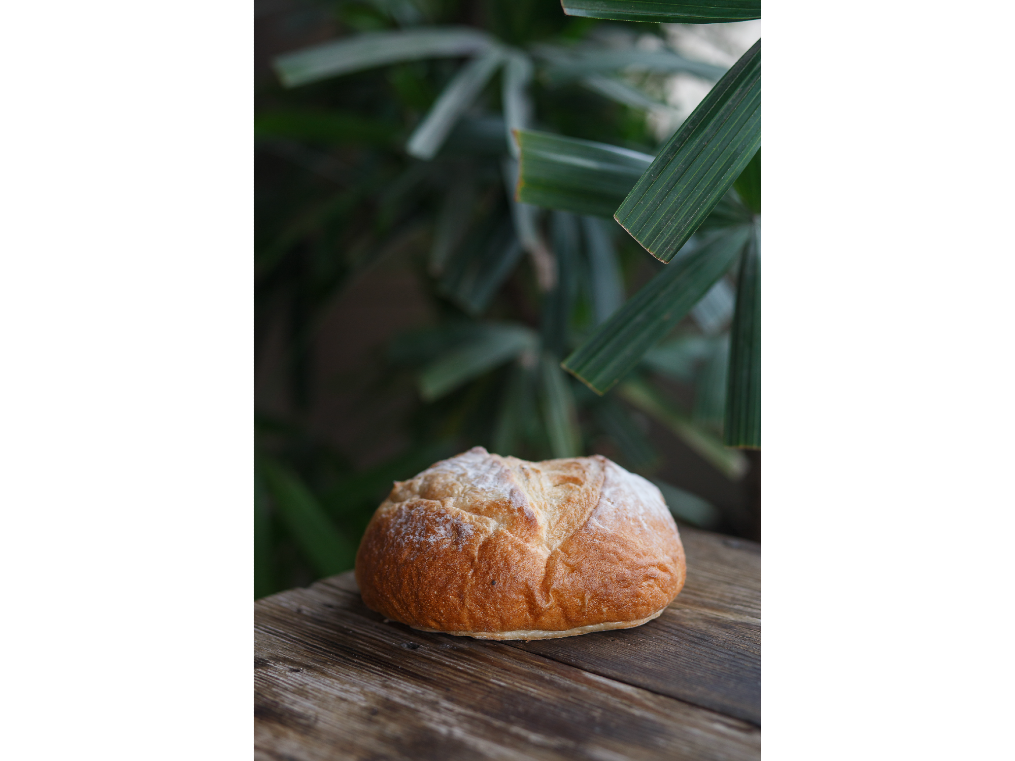 PAN DE CAMPO X 1 UNIDAD
