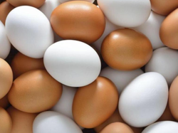 Huevos media docena