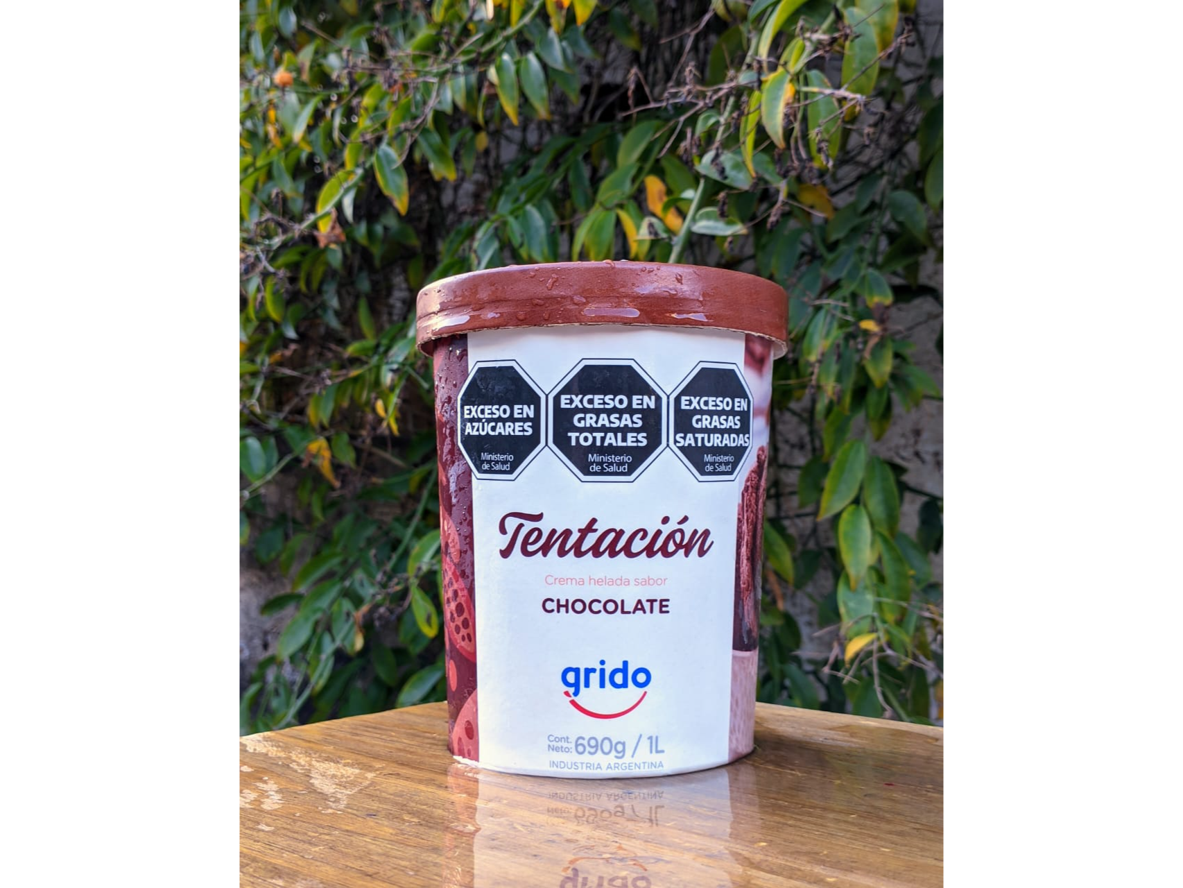 Pote tentación chocolate  690g