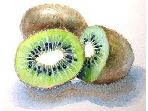 KIWI VERDE PREMIUM