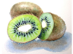 KIWI VERDE PREMIUM