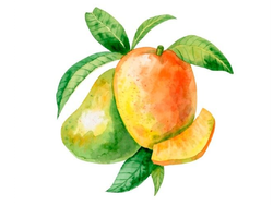 MANGO