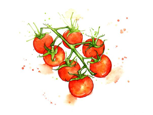 TOMATE CHERRY