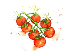 TOMATE CHERRY