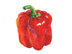 PIMIENTO ROJO