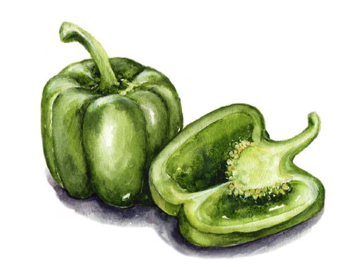 PIMIENTO VERDE