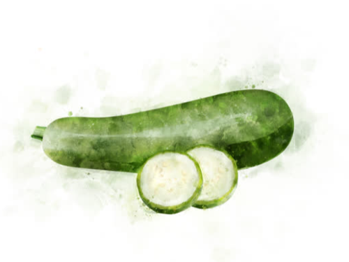 ZAPALLITO CUZA