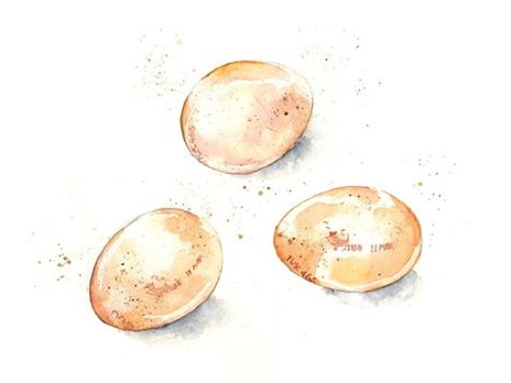 HUEVOS BLANCOS ELEGIDOS