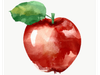 MANZANA COMERCIAL KG
