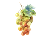 UVA BLANCA