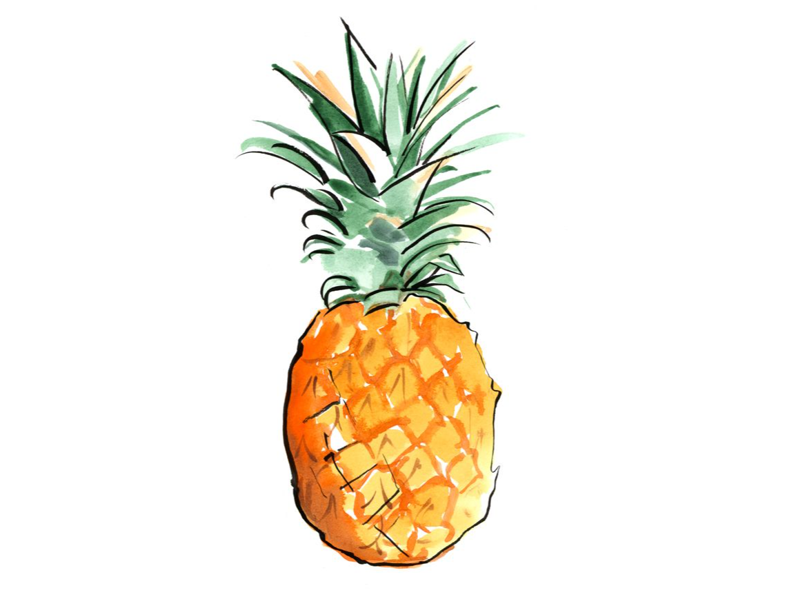 PIÑA