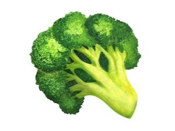 BROCOLI UNIDAD