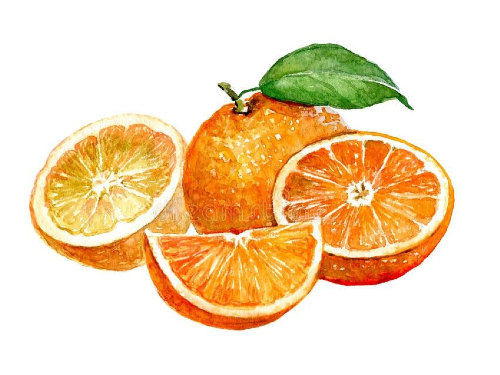 NARANJA DE OMBLIGO