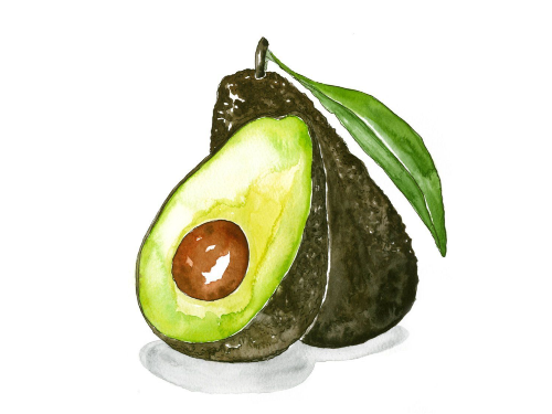 PALTA HASS ELEGIDA