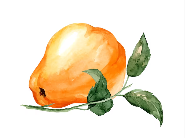 MEMBRILLO