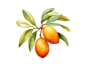 QUINOTO