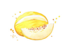 MELON AMARILLO
