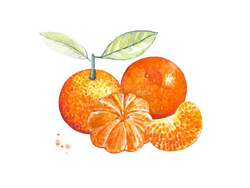 MANDARINA DANCING
