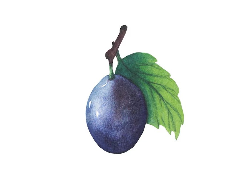 CIRUELA GOTITA DE MIEL