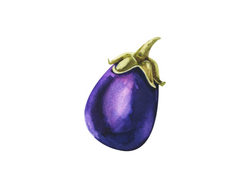 BERENJENA BABY