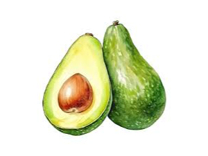 PALTA TORRE NACIONAL