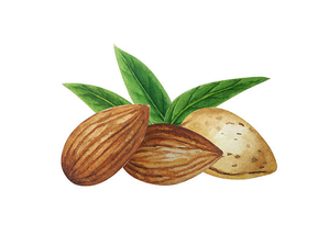 ALMENDRAS X 100 GR de LA PROVEEDURIA