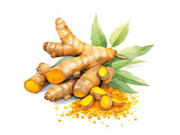 CURCUMA KG