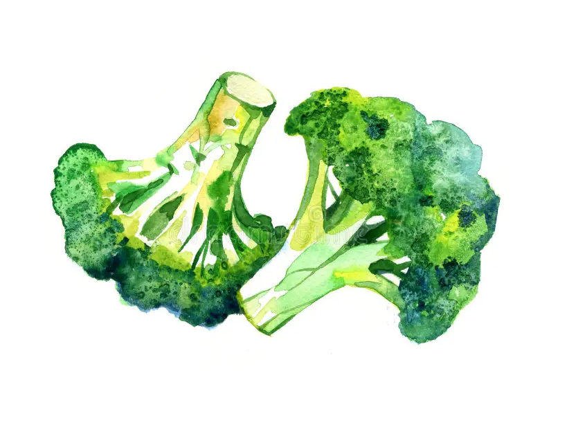 CONGELADO BROCOLI