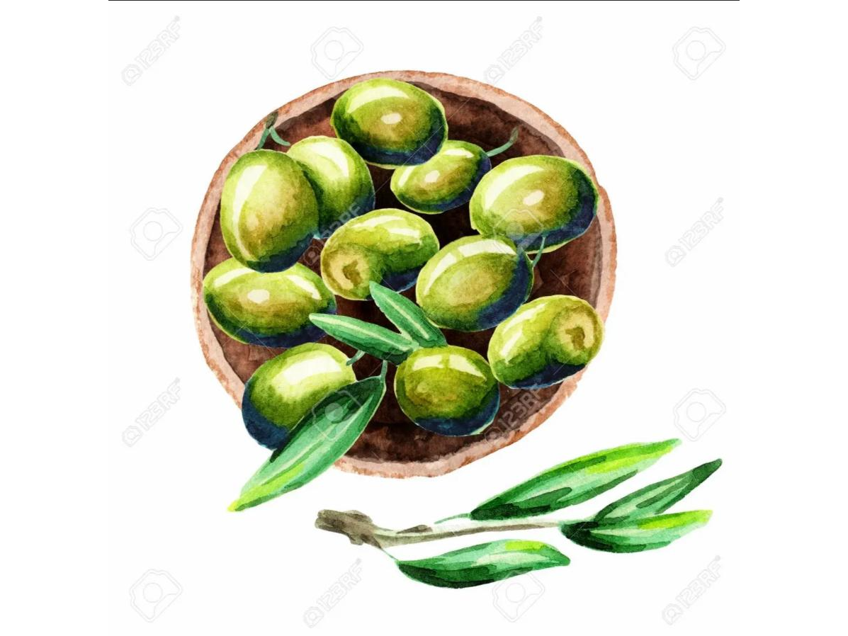 ACEITUNAS VERDES