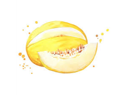 MELON BLANCO GRANDE
