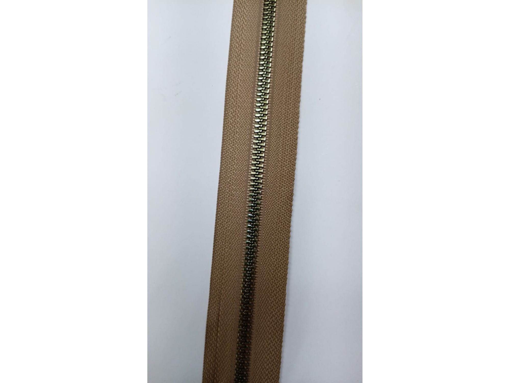 #12 Cierre Café Diente Dorado #5